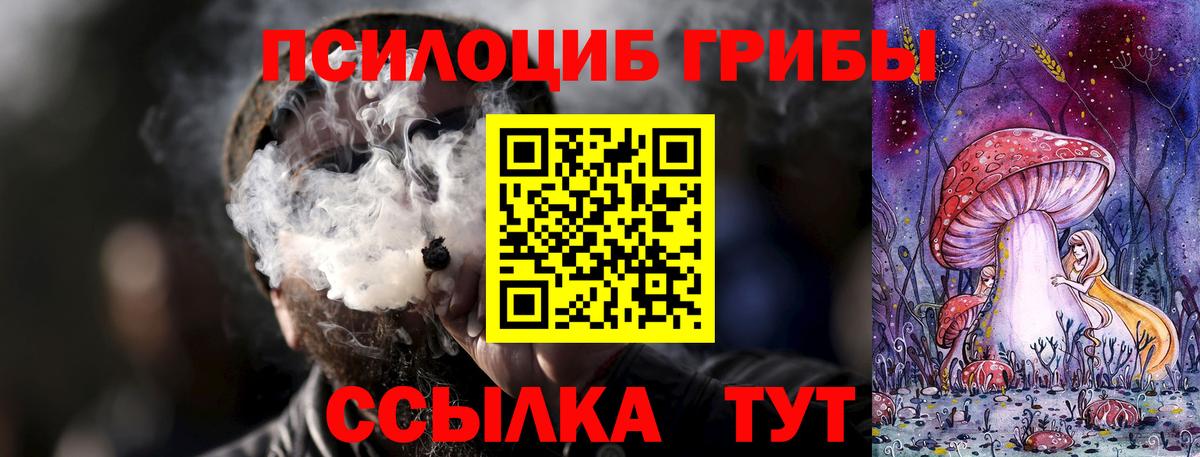 Галлюциногенные грибы Cubensis  Вход с VPN  Воркута 